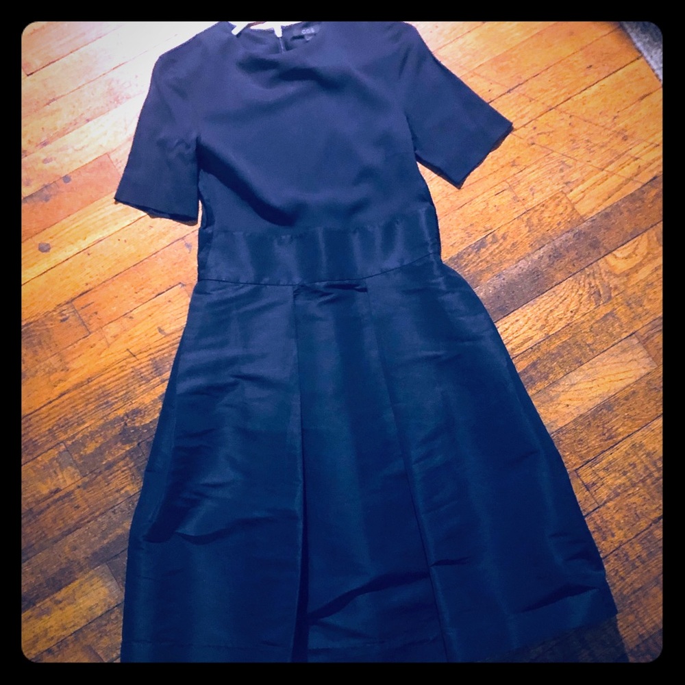 COS Fit and Flare Navy Dress with full skirt